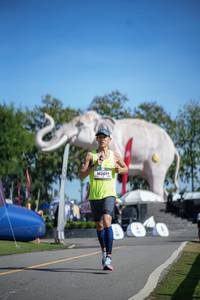 BIB: 
                            <button type="button" onclick="openModal(26542075)" class="btn btn-primary btn-sm float-right btn-popup" data-toggle="modal" data-target=".modal-high-quality">
                        <i class="fas fa-shopping-cart"></i> Add to Cart
                    </button>
                                            <button type="button" onclick="isThisMe(26542075, true)" class="btn btn-success btn-sm float-right btn-popup btn-isme hidden" data-toggle="tooltip" data-placement="bottom" title="นี่คือรูปของคุณใช่ไหม คลิกที่นี่เพื่อเอาเข้าอัลบั้ม">
                        <i class="fas fa-plus"></i> Add to album
                    </button>
                    <button type="button" onclick="isThisMe(26542075, false)" class="btn btn-warning btn-sm float-right btn-popup btn-isnotme hidden">
                        <i class="fas fa-ban"></i> Remove from album
                    </button>